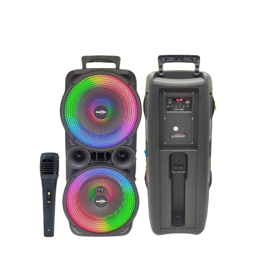 GTS-1569 8 დიუმიანი ორმაგი დინამიკები მიკროფონით კარაოკესთვის